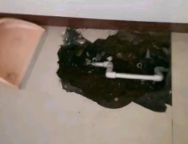 西峡卫生间测漏水多少钱